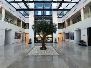 Wevioo Espace de travail
