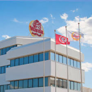 Rose Blanche Group Workspace